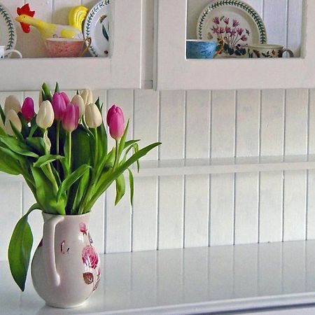 Craigielea Bed & Breakfast 加拉希尔斯 外观 照片
